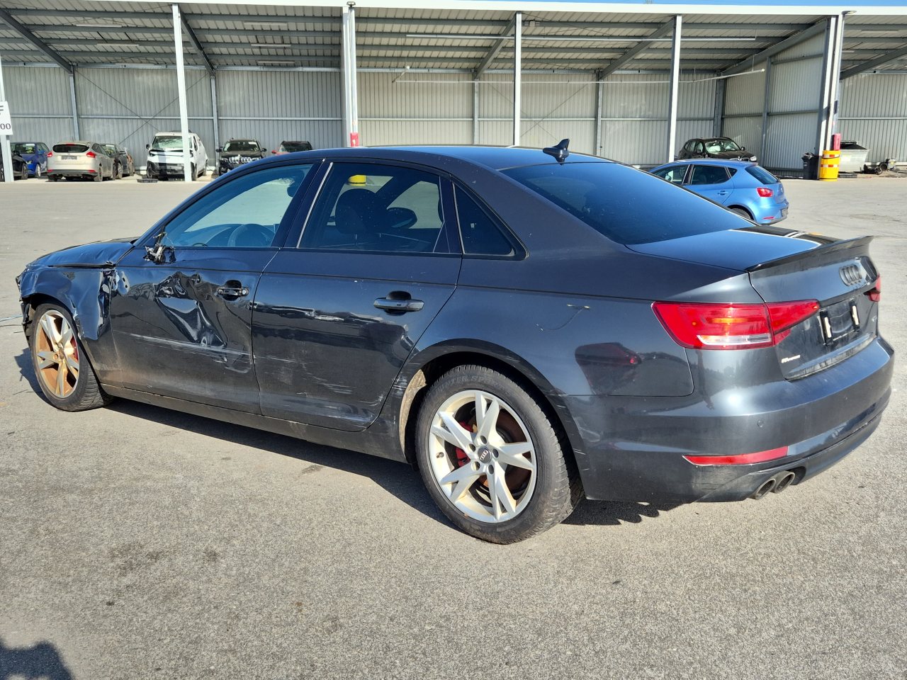 rear